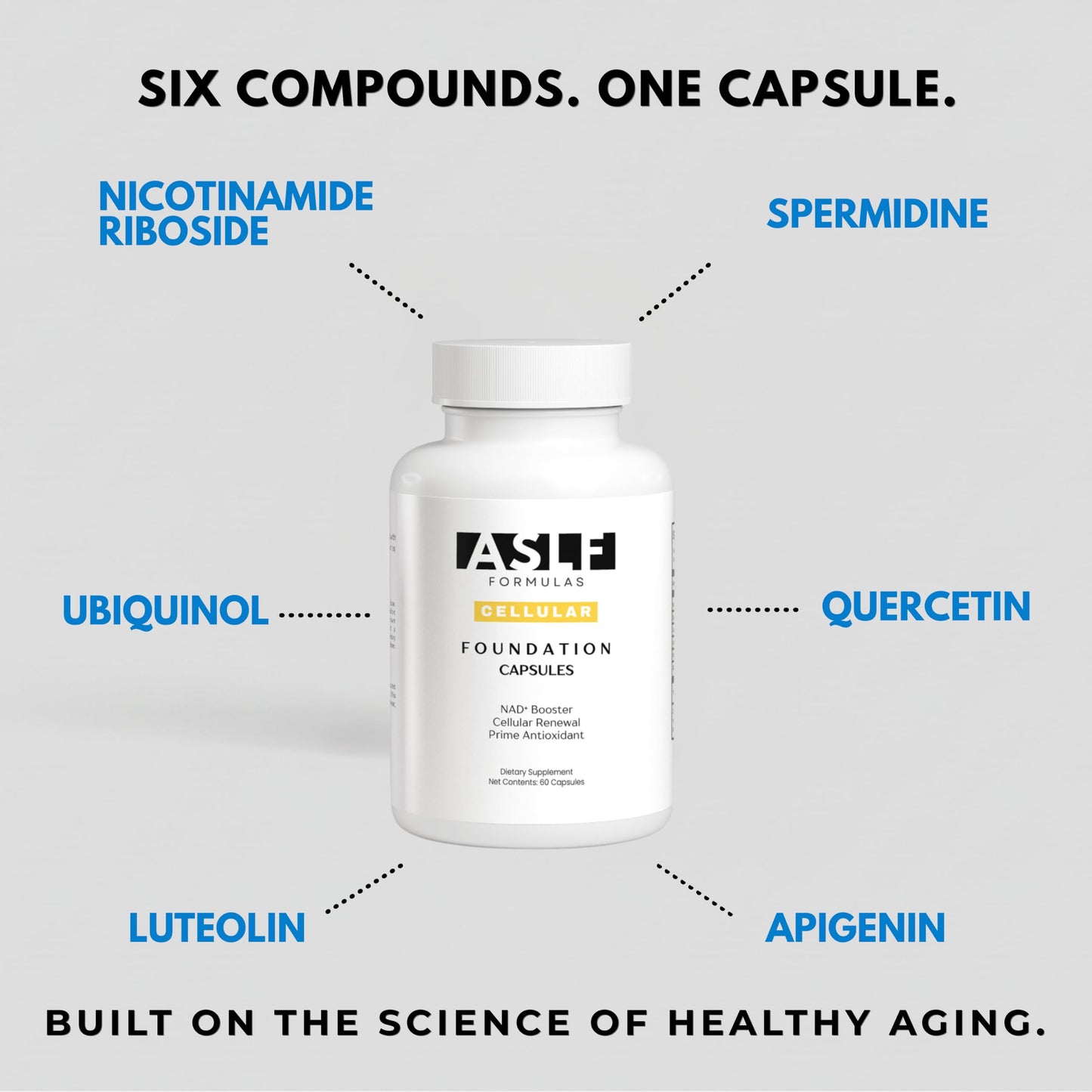 ASLF Formulas Foundation Capsules, 60 Capsules
