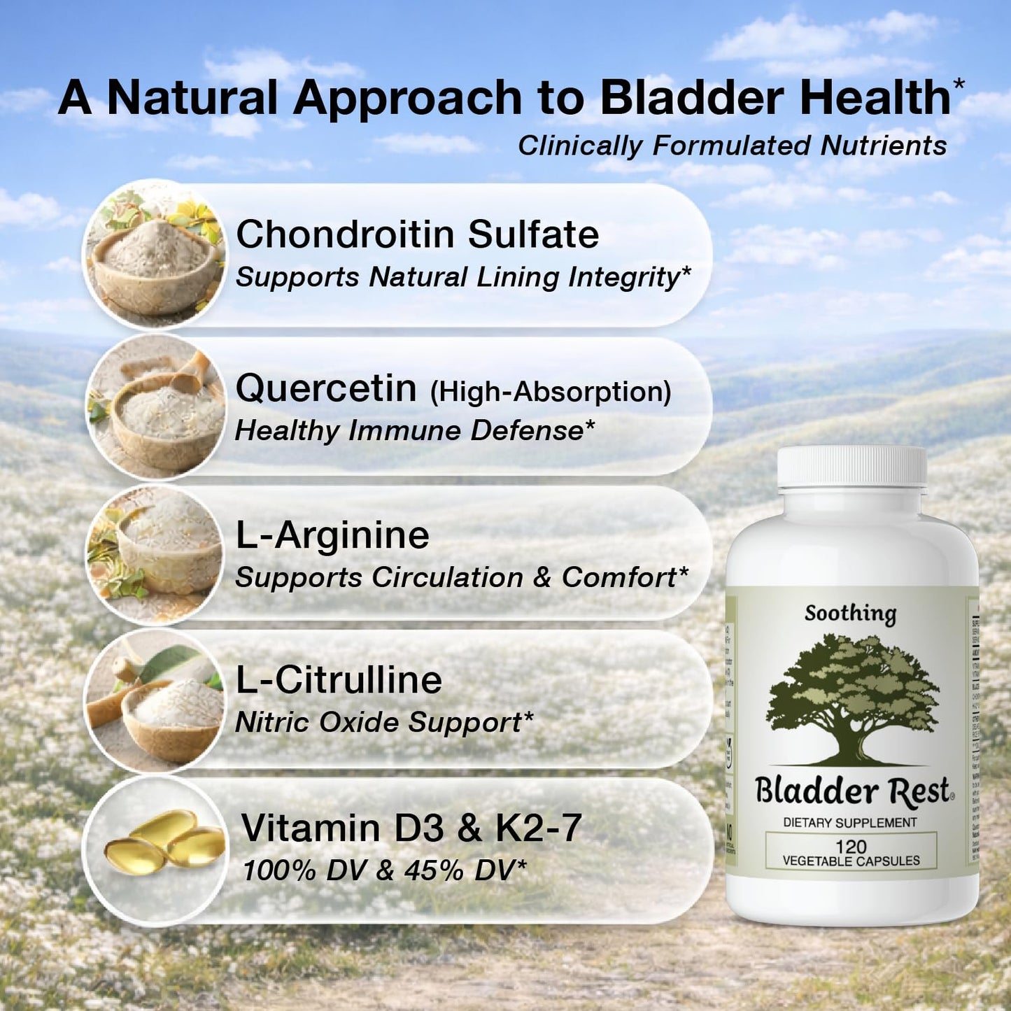 Bladder Rest Bladder Health & Pelvic Discomfort Natural Lining Support 120 Capsules