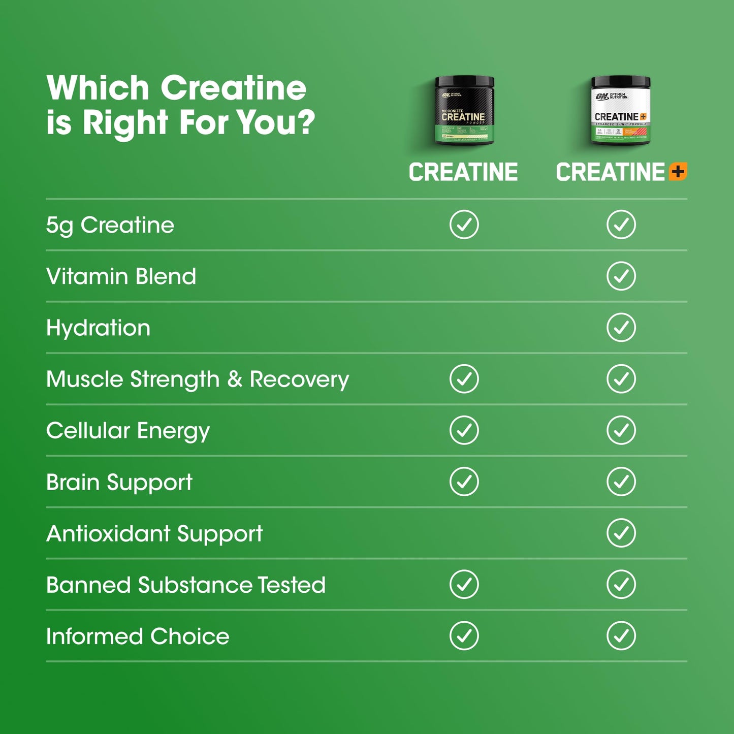 Optimum Nutrition Micronized Creatine Monohydrate 2500mg, 200 Capsules