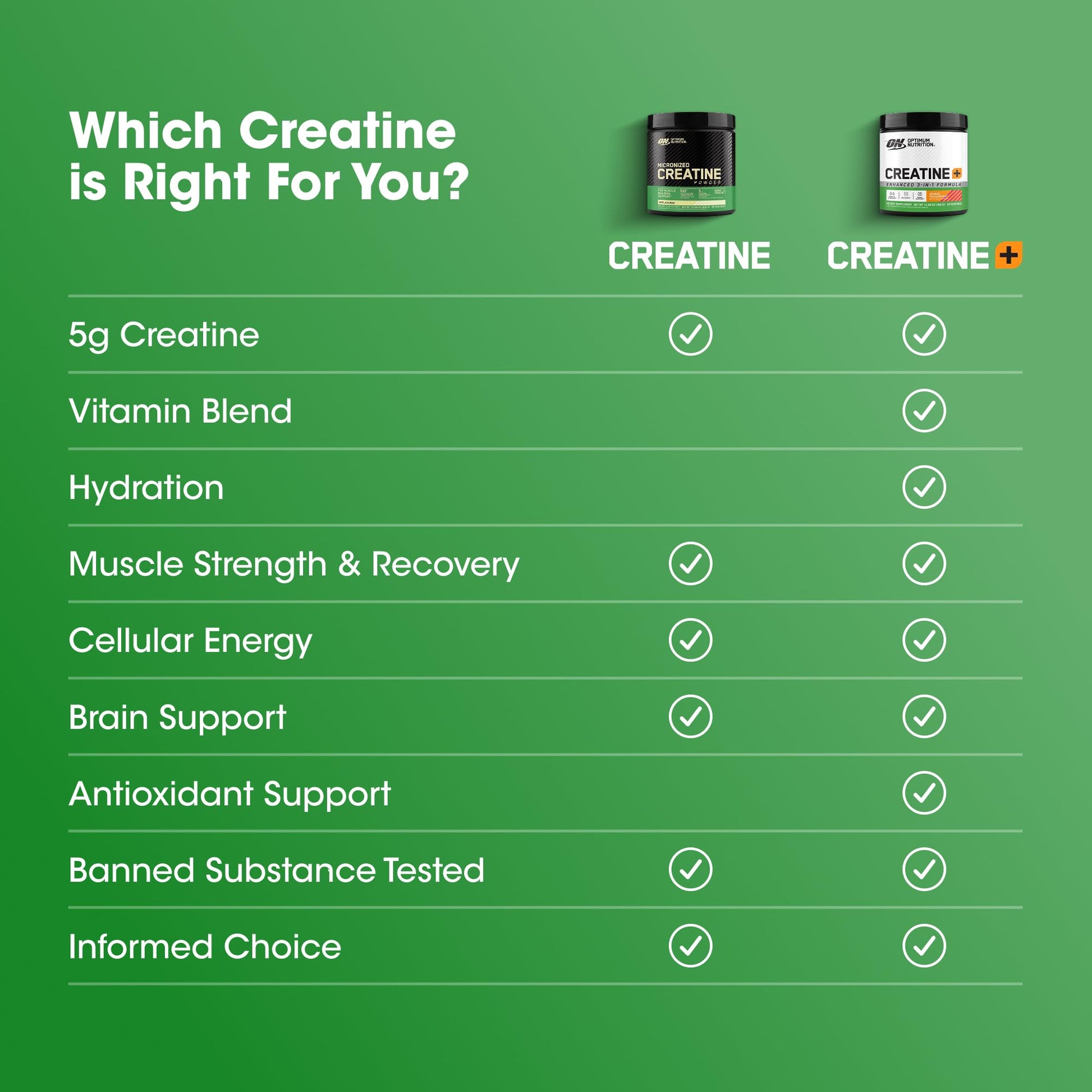 Optimum Nutrition Micronized Creatine Monohydrate 2500mg, 200 Capsules