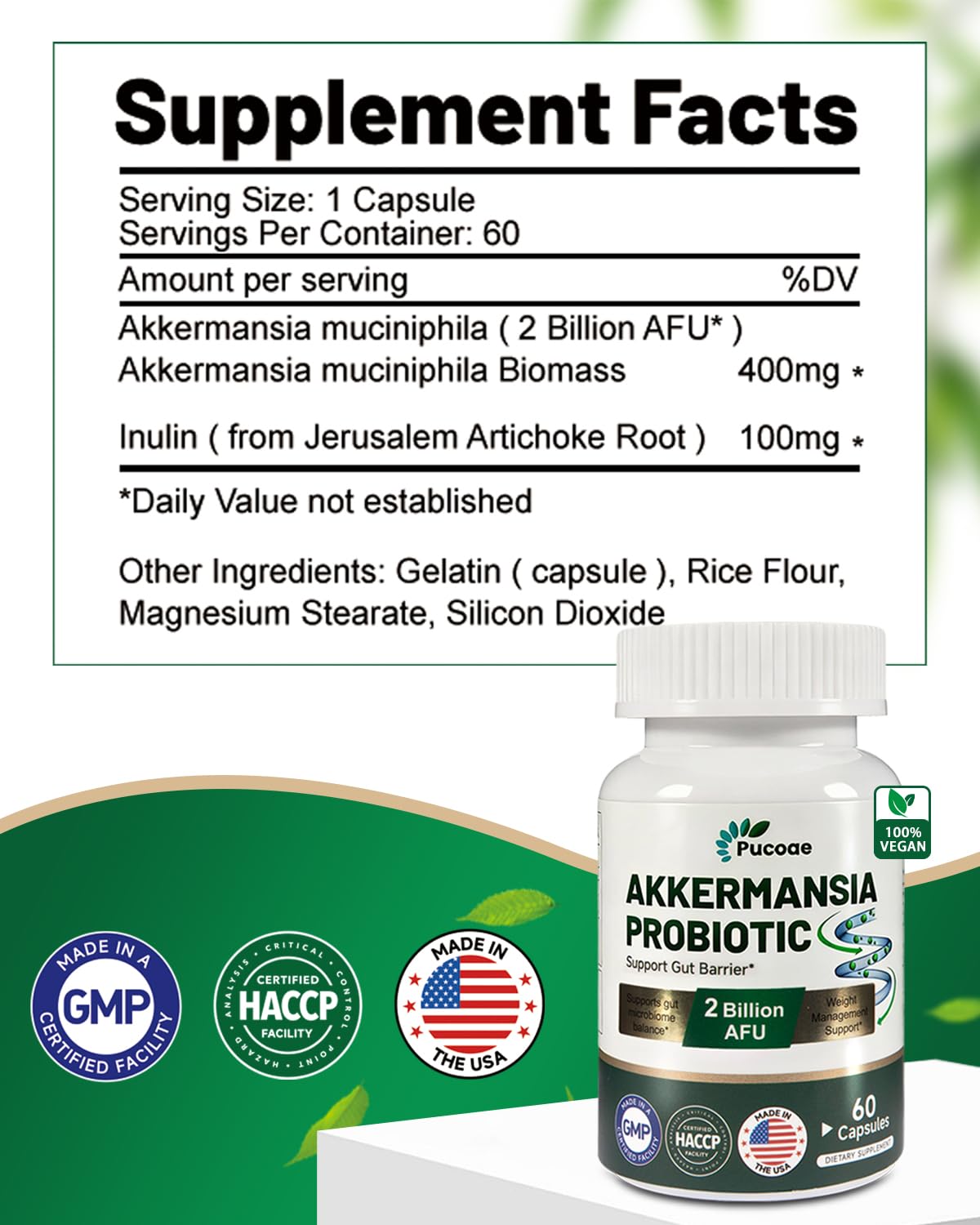 Pucoae Akkermansia Probiotic Supplement – 2 Billion AFU, Delayed Release, Gluten-Free, Gut Health & Microbiome Balance, Weight & Wellness Support for Men and Women, 60 Capsules