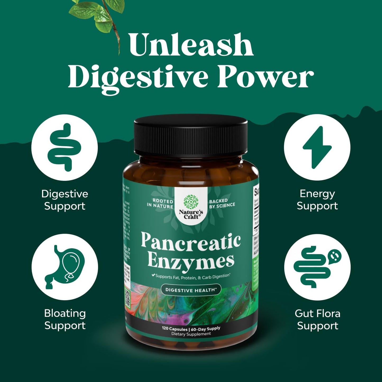 Natures Craft Pancreatin Digestive Enzymes Capsule 120