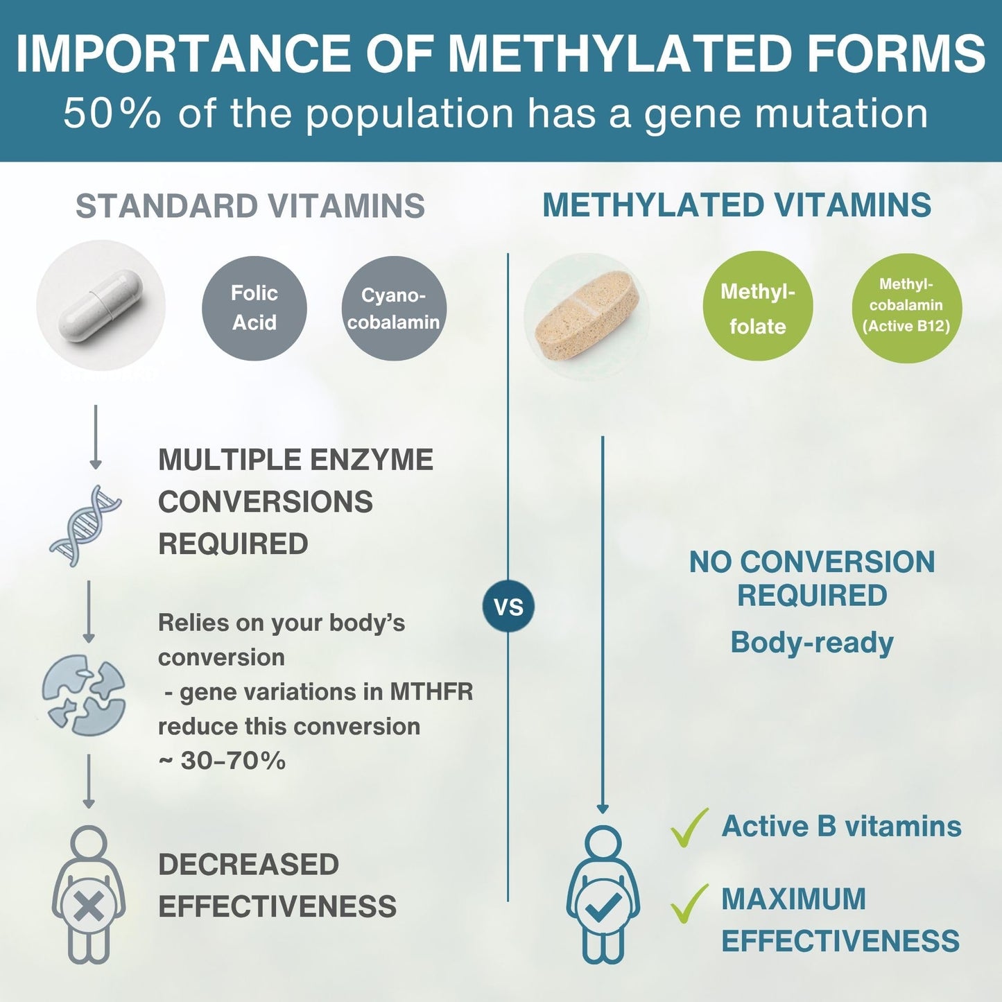 Igennus Healthcare Nutrition Methylated Multivitamin for Women 50+, Calcium & Magnesium for Bone Support, Sustained Release & Active B-Vitamins, Iron-Free Formula, Antioxidant Support, Clean Label 60 Tablets