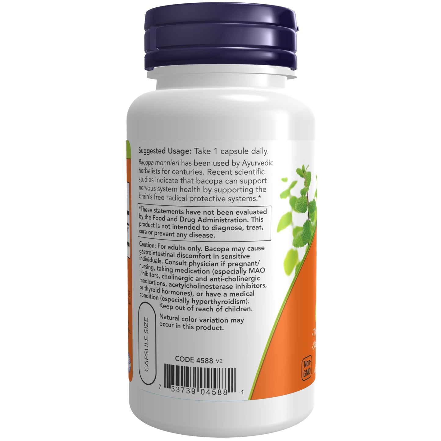 NOW Foods Bacopa Extract (Bacopa monnieri) 450 mg Veg Capsules, 90 Count