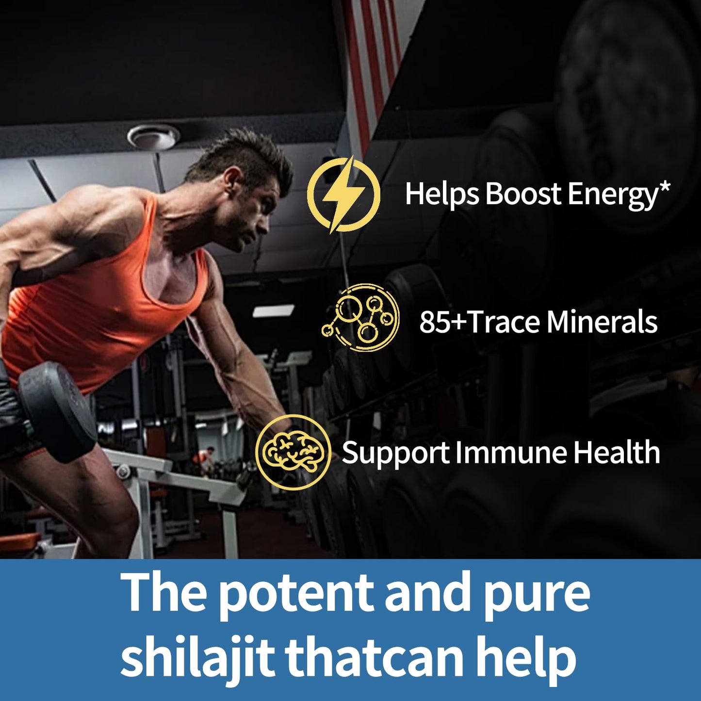 TEYAOE Primal Compound Shilajit Gummies for Men, Gummy, 1