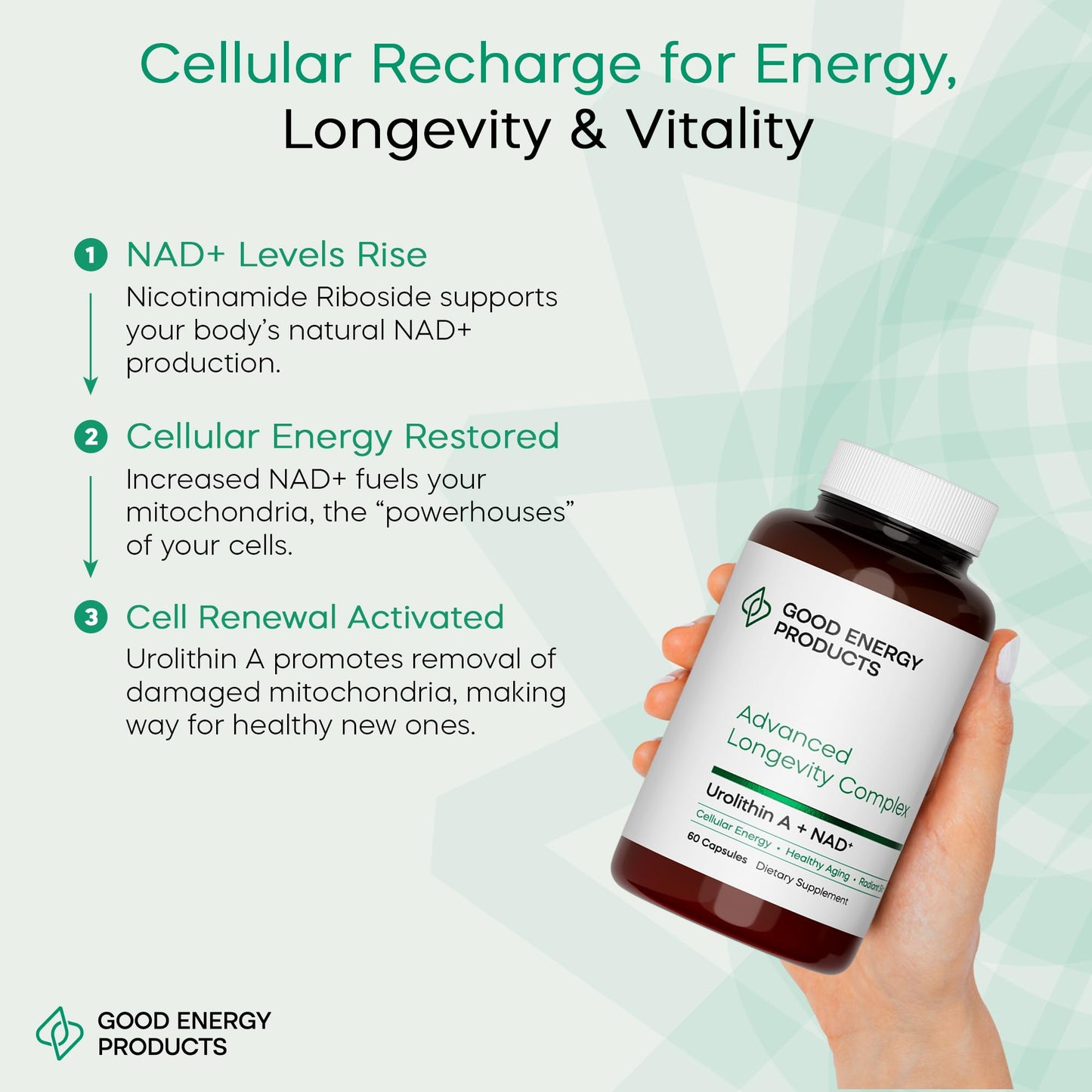 Good Energy Products Urolithin A + NAD+ Supplement Capsule 60 Count