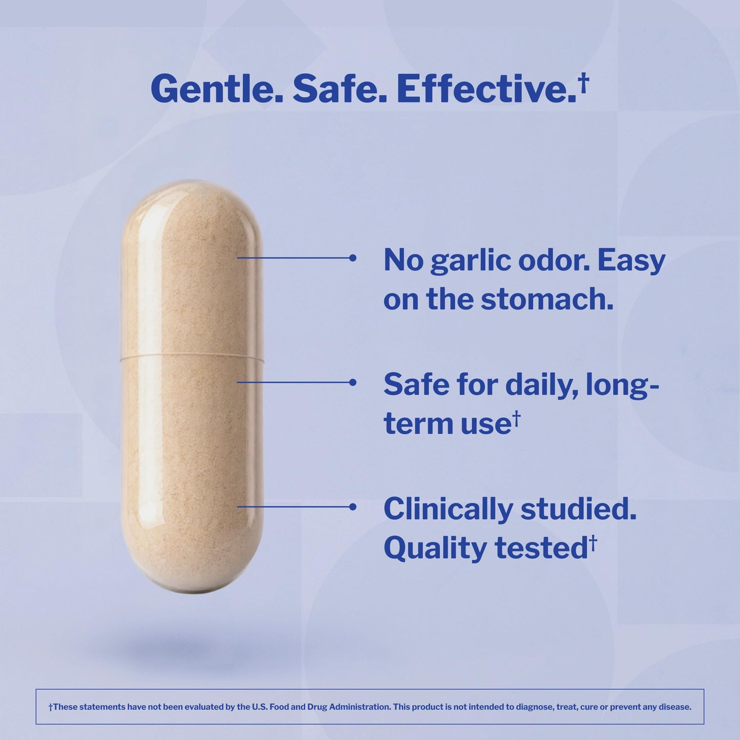 Kyolic Aged Garlic Extract Cardiovascular Health Formula 100 Capsules
