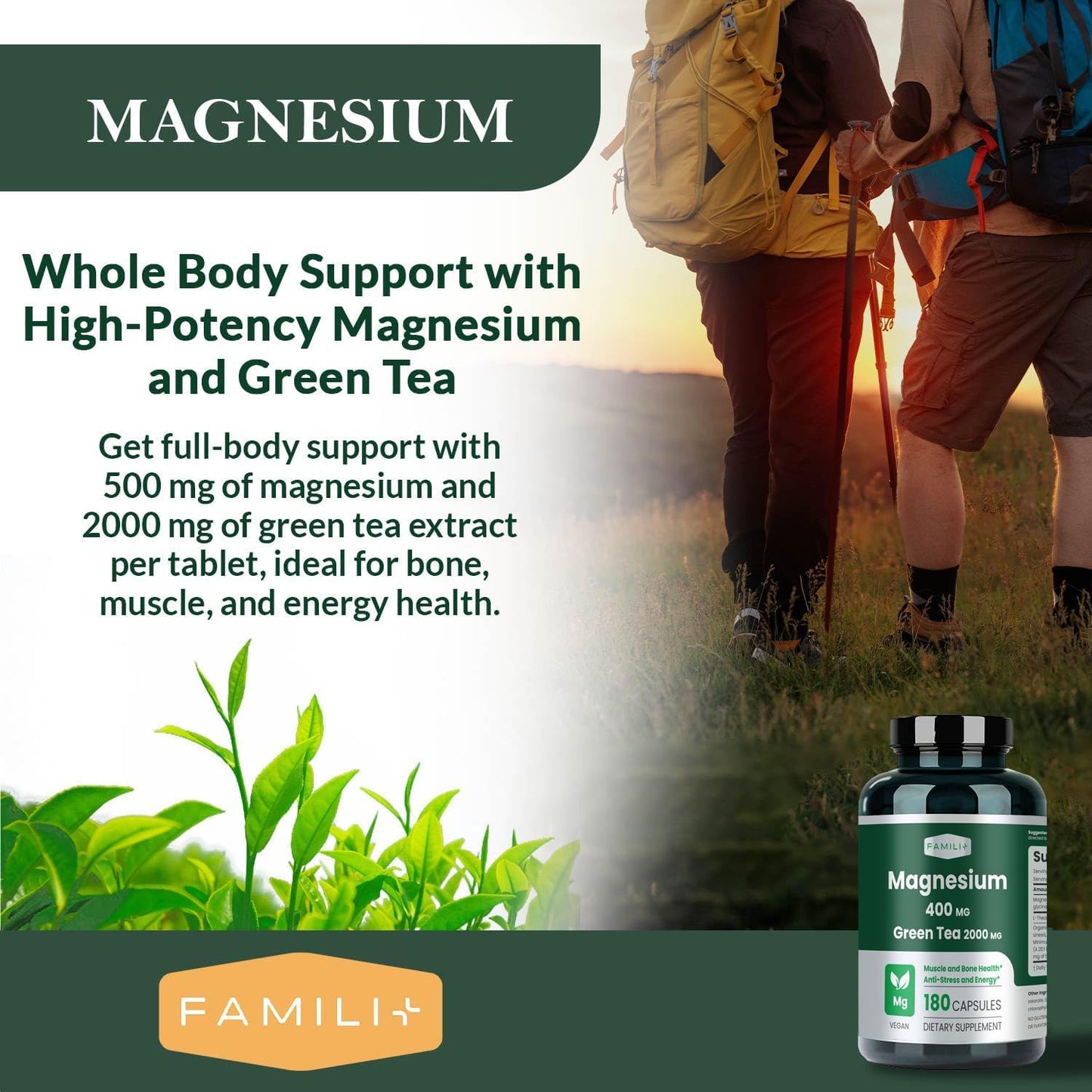 FAMILI+ Magnesium 400mg, Green Tea Supplement & L-Theanine Capsule, 180 Count