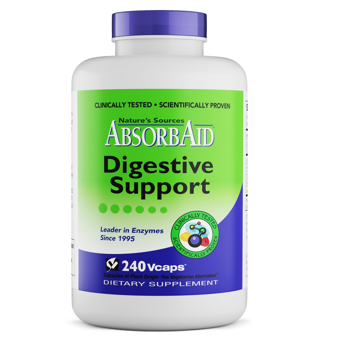 AbsorbAid Original Formula Digestive Support Enzyme Supplement Capsule 240 Capsules