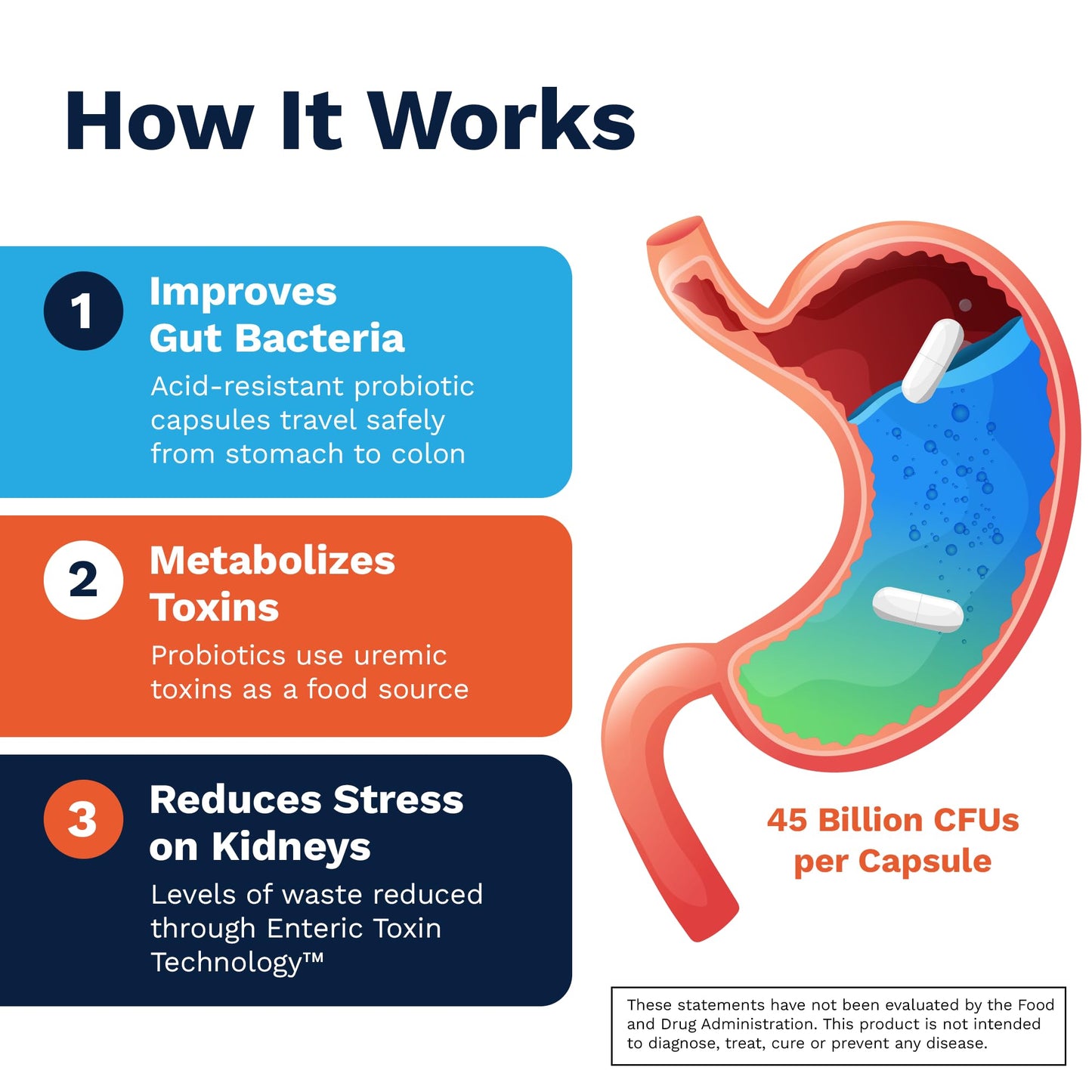 Kibow Renadyl Kidney Probiotic 180 Capsules