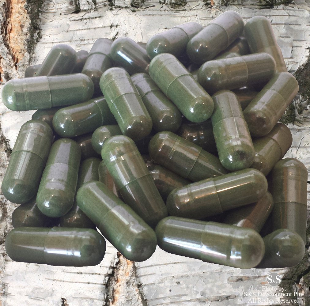 ChagaTeaShop Siberian Chaga Extract Capsules 1 Count
