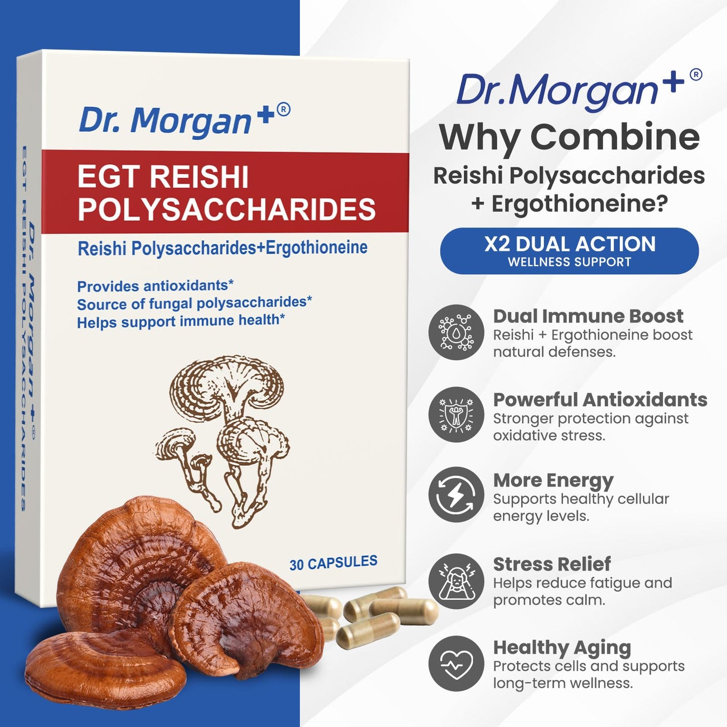 DR.MORGAN Ergothioneine & Reishi Polysaccharides Capsule 0.25