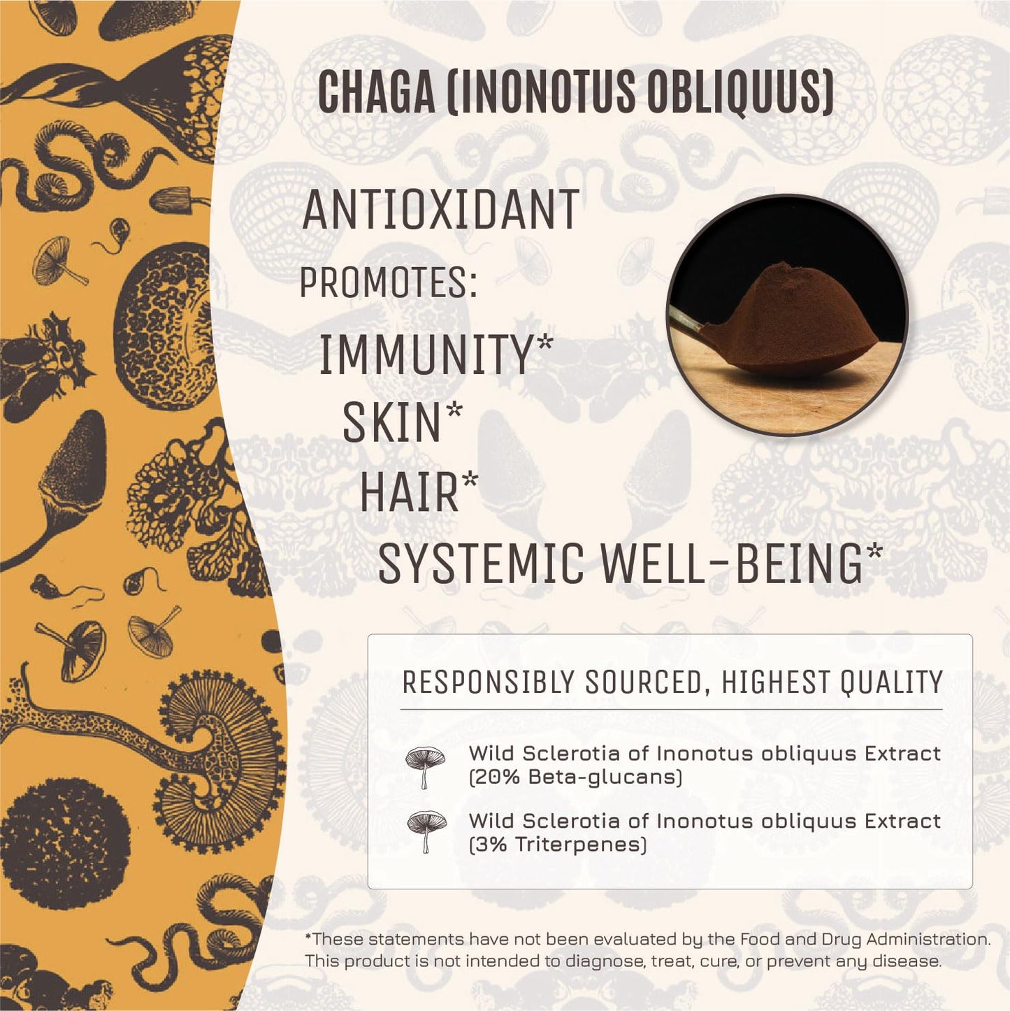 Hamilton's True Chaga Organic Mushroom Extract Powder 7.05 oz