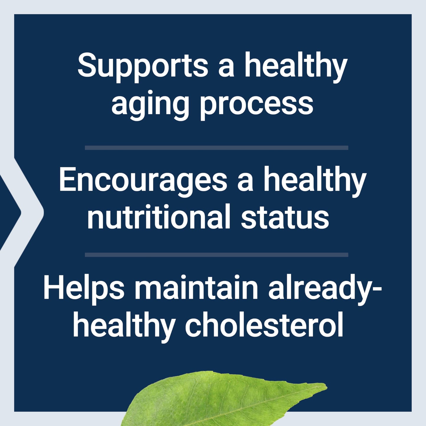 Life Extension FLORASSIST Probiotic Youthful Gut, Healthy Aging Supplement, Postbiotic and Probiotic Blend, Heart and Gut Health, 30 Capsules
