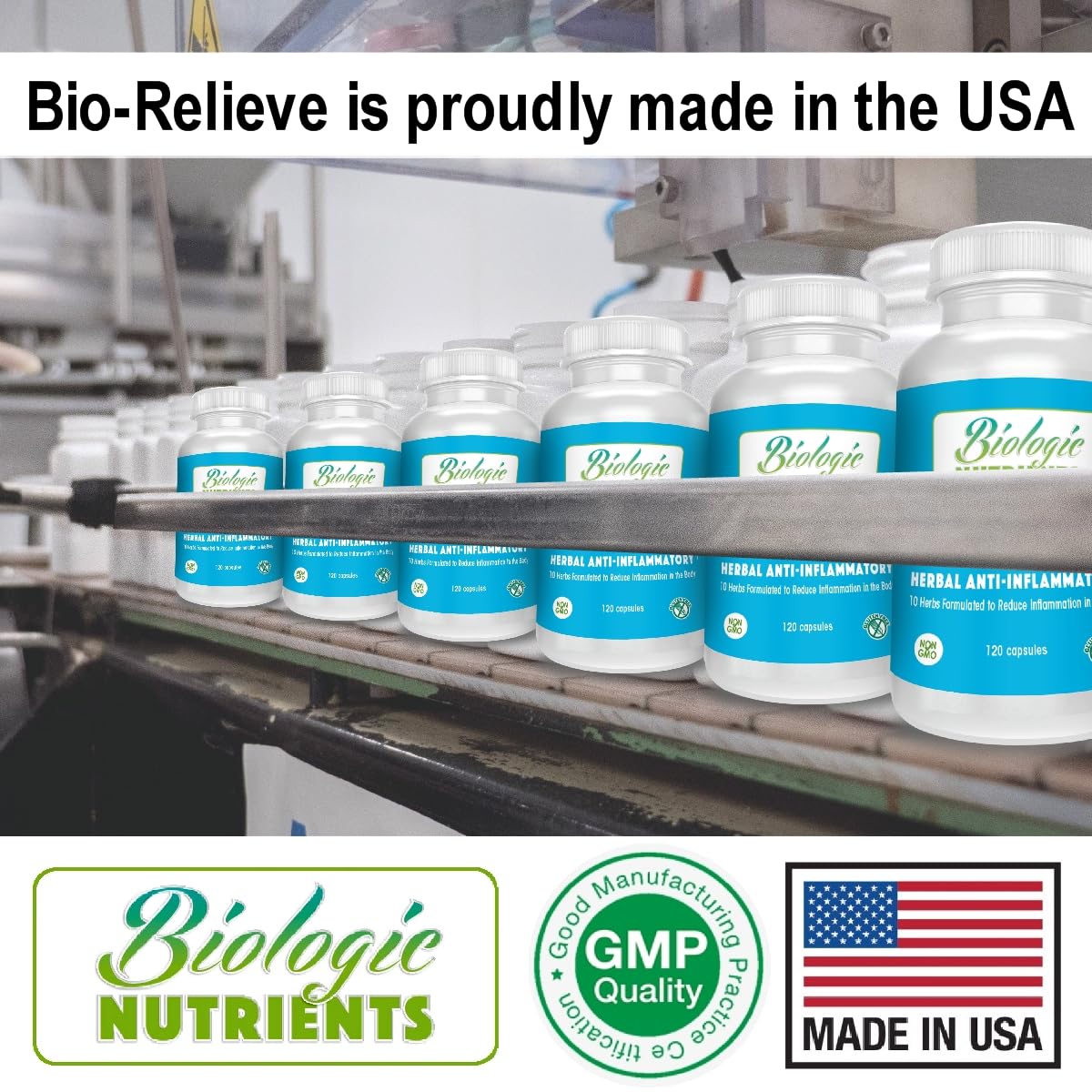 Bio-Relieve Biologic Nutrients Turmeric Supplement, 10-in-1 Herbal Joint Supplements for Men & Women, with Muscle, Bones, Nerves, & Joint Support - Daily Mobility Support, 120 Capsules