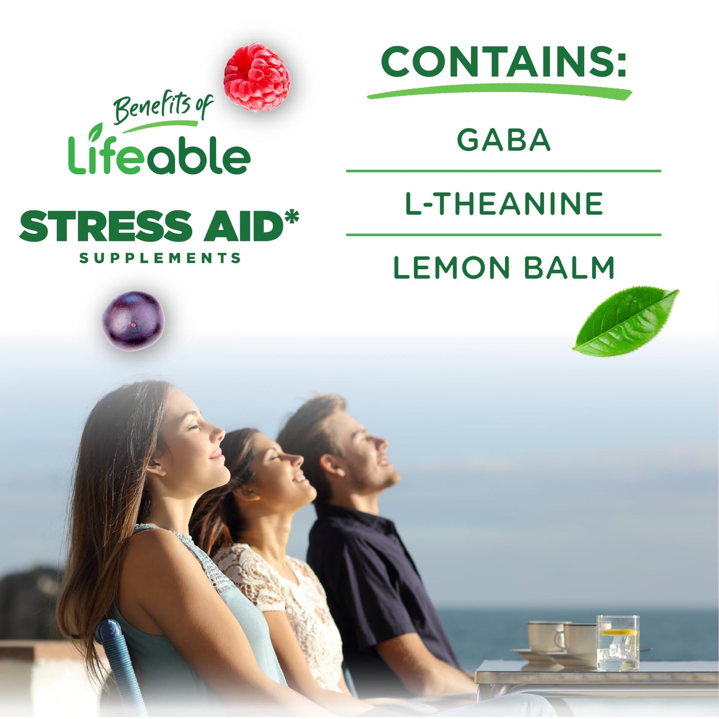 Lifeable Stress Aid Gummies 90 Count