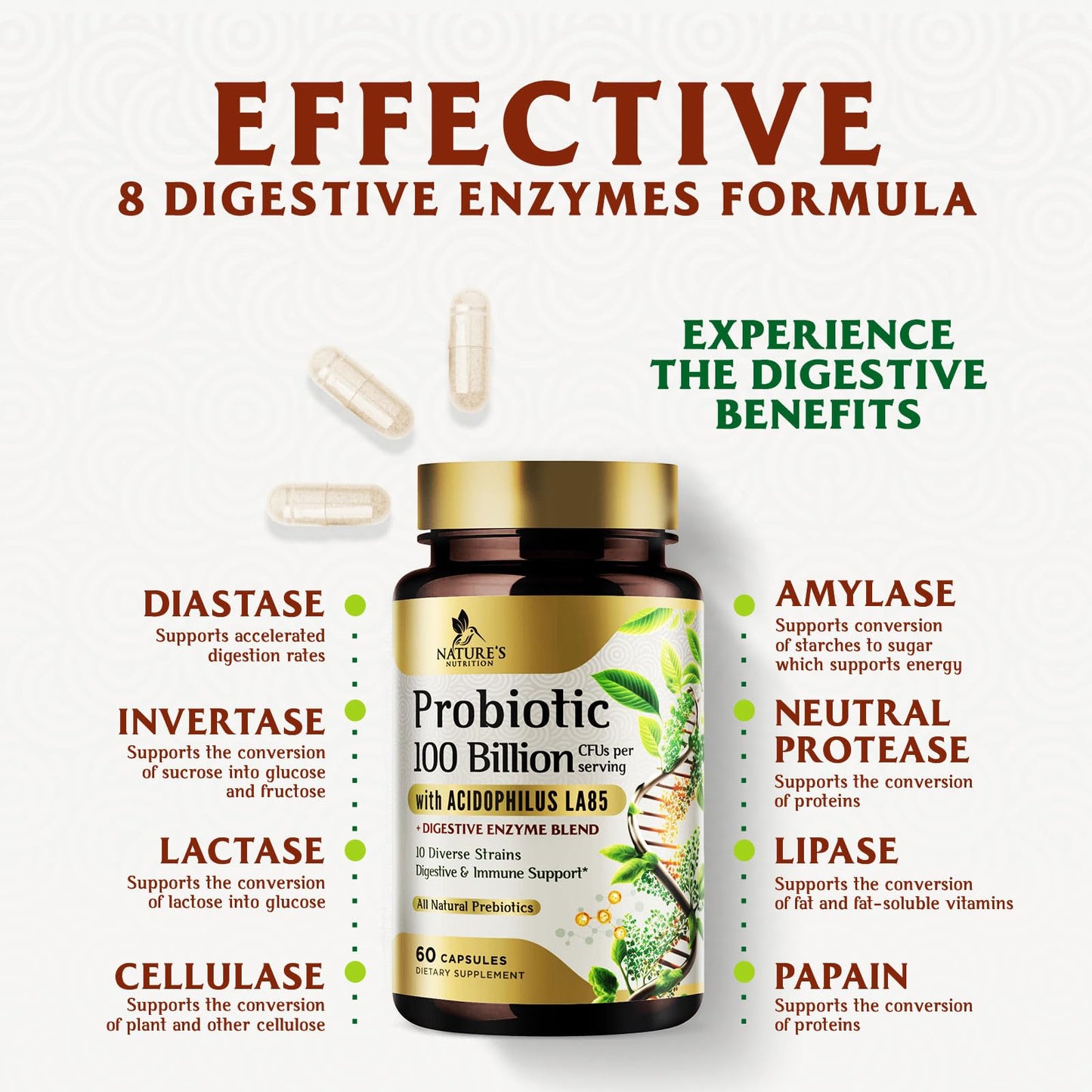 Nature's Nutrition Premium Probiotics 100 Billion CFU Per Serving, 10 Strains + Prebiotics, Gut Health for Women & Men, Immune Support, Digestive Health, Occasional Constipation & Gas, 60 Capsules