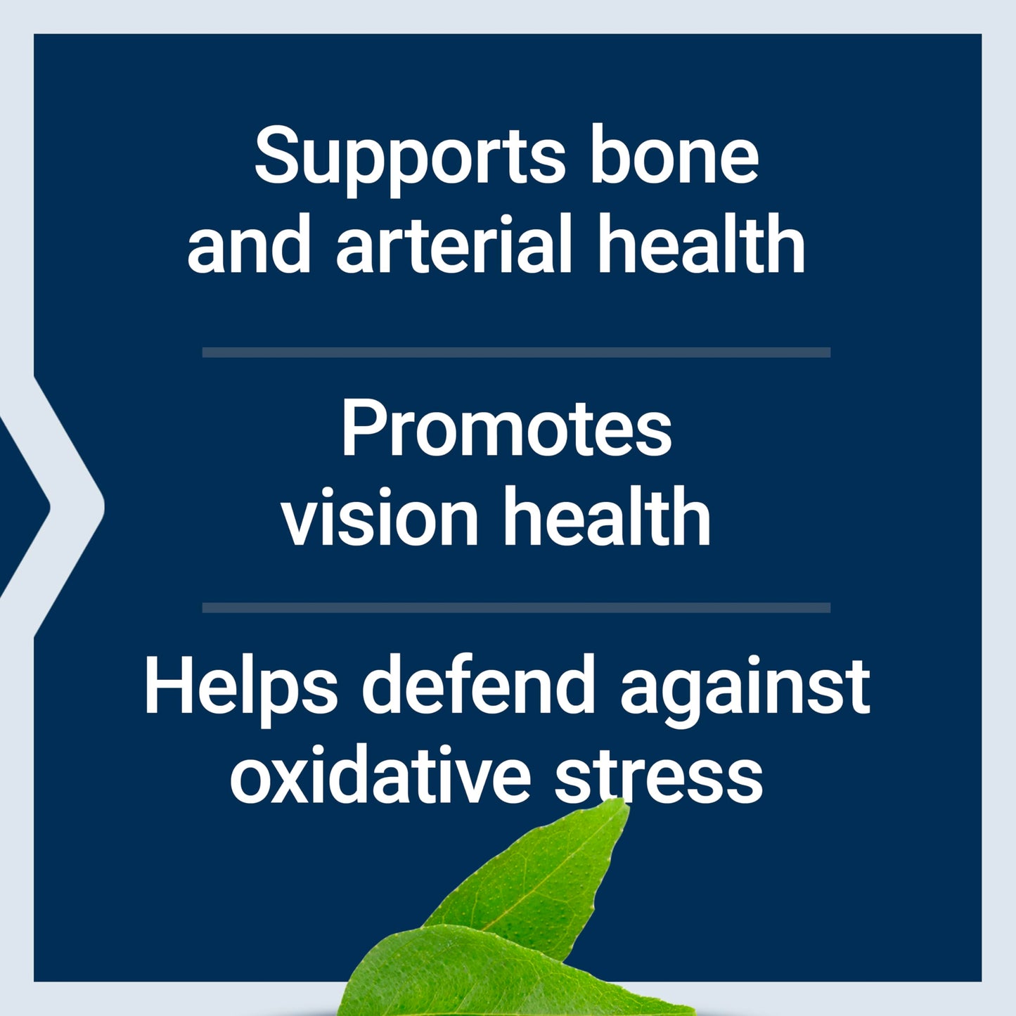 Life Extension Once-Daily Health Booster Softgel 60