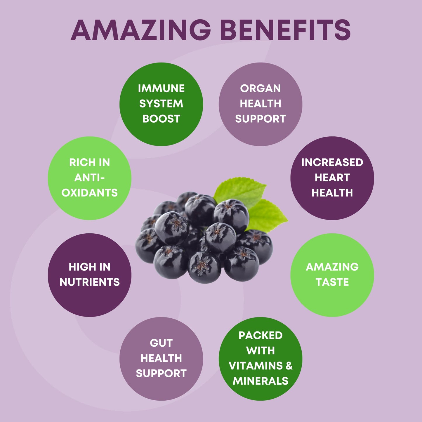 Aronia Nutrition SuperBerry Gummies 60 Gummies
