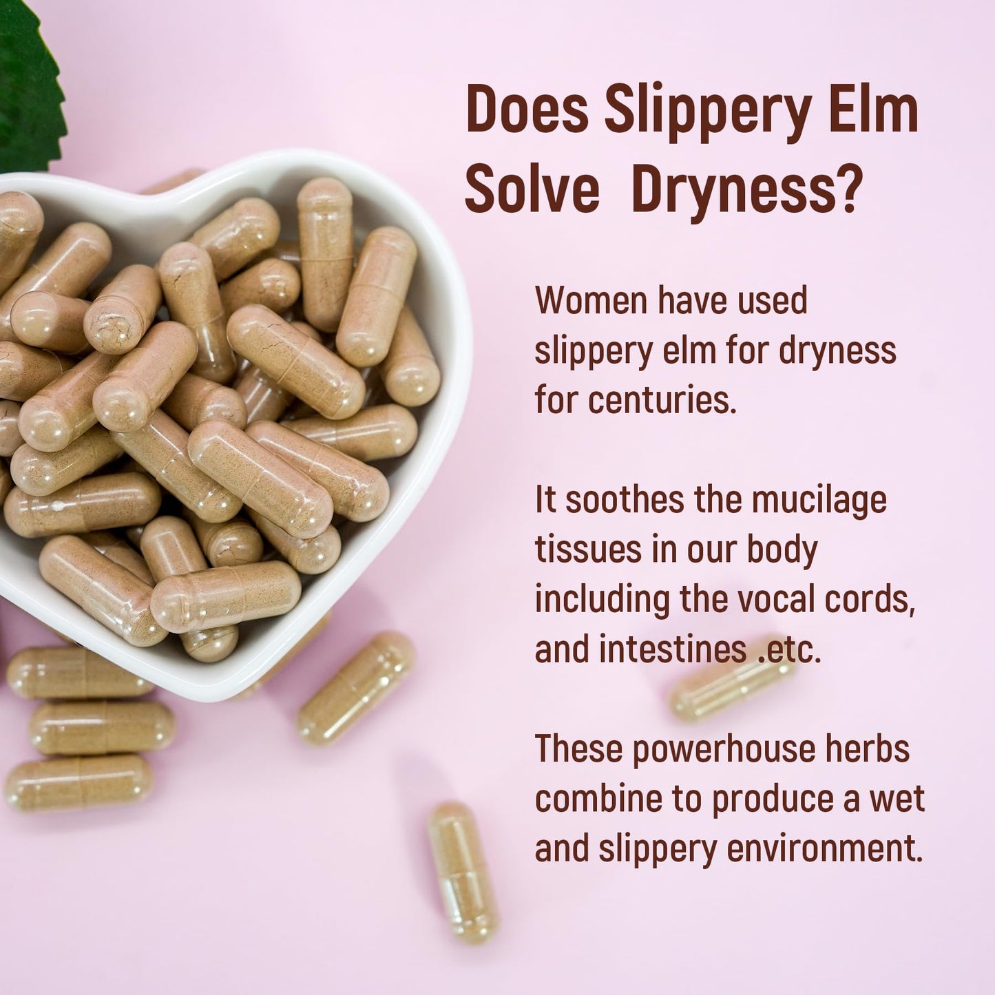 Laicuherb Slippery Elm Bark Capsules for Women Wetness and Feminine Health Care, Slippery Elm Bark Powder Capsules for Dryness Relife, 60 Capsules