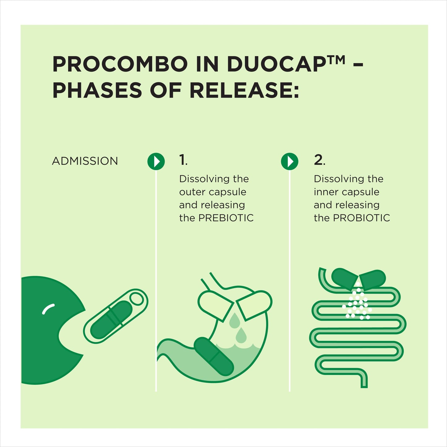 ProCombo The Smart Synbiotic with Targeted Delivery of The Good Bacteria Capsules 10 Count