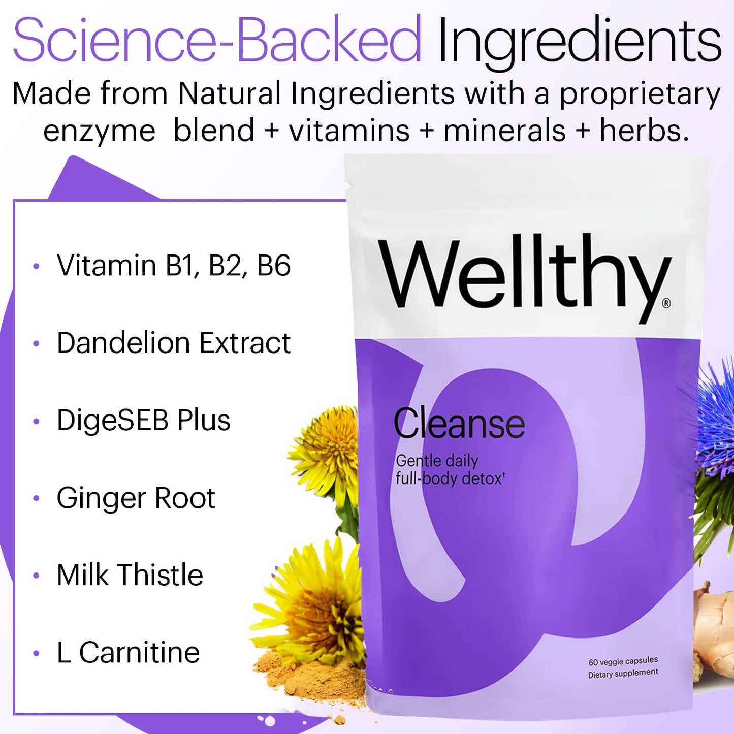 Wellthy Full Body Detox and Immune Support Capsule 60 Count