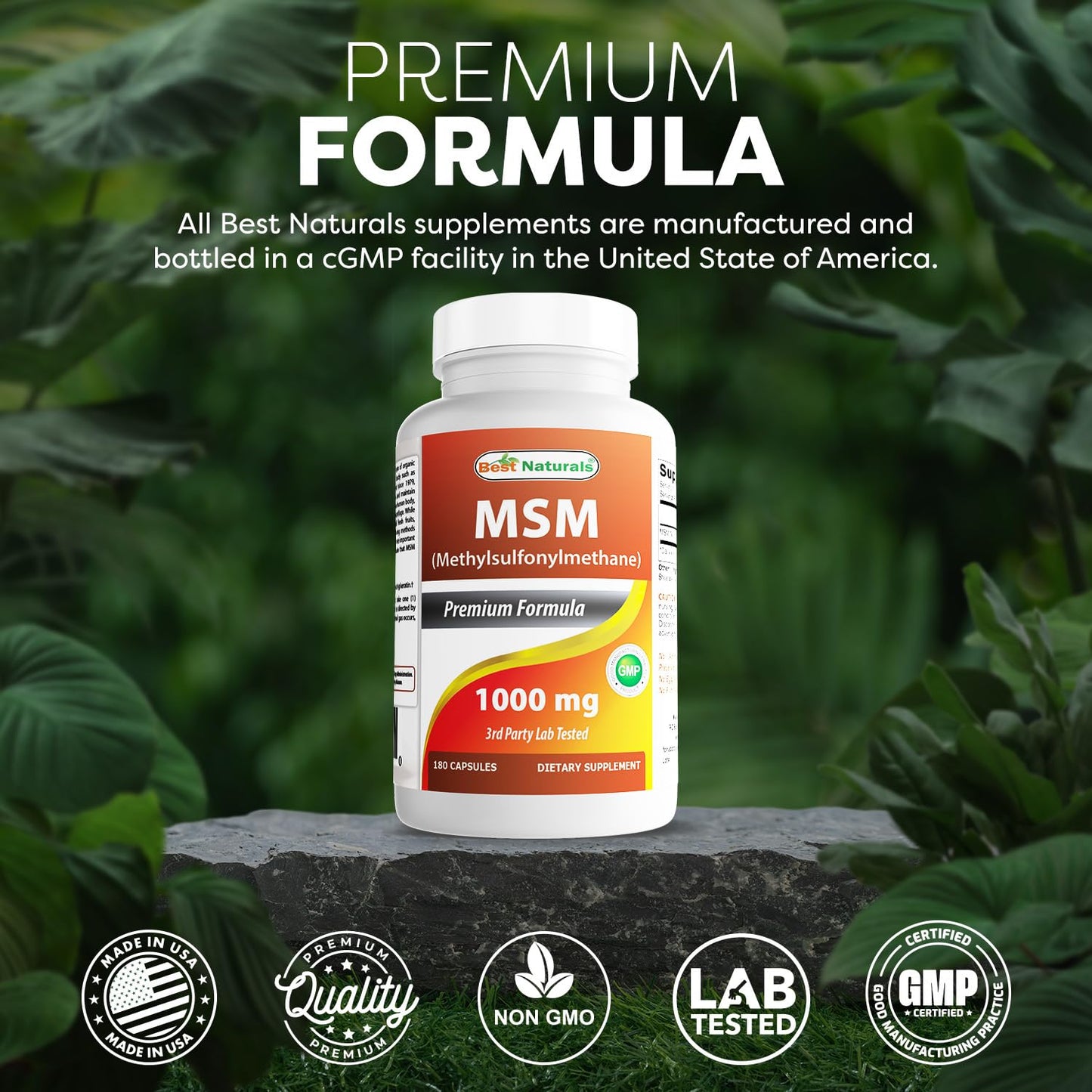 Best Naturals MSM 1000 mg Capsules, 540 Count