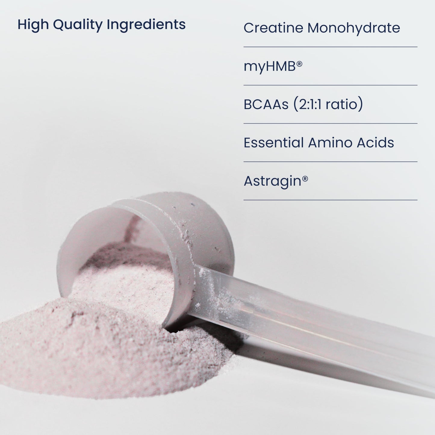 Previnex Muscle Health Plus All-in-One Creatine Monohydrate & Amino Acids Powder with myHMB & AstraGin – BCAA 2:1:1 and Essential Amino Acids Supplement for Strength, Recovery & Lean Muscle, Cherry 18