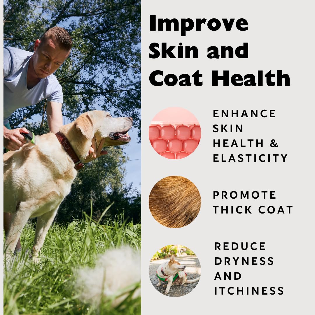 Nature's Diet Beef Collagen Peptides Type 1 for Dogs & Cats Powder 16