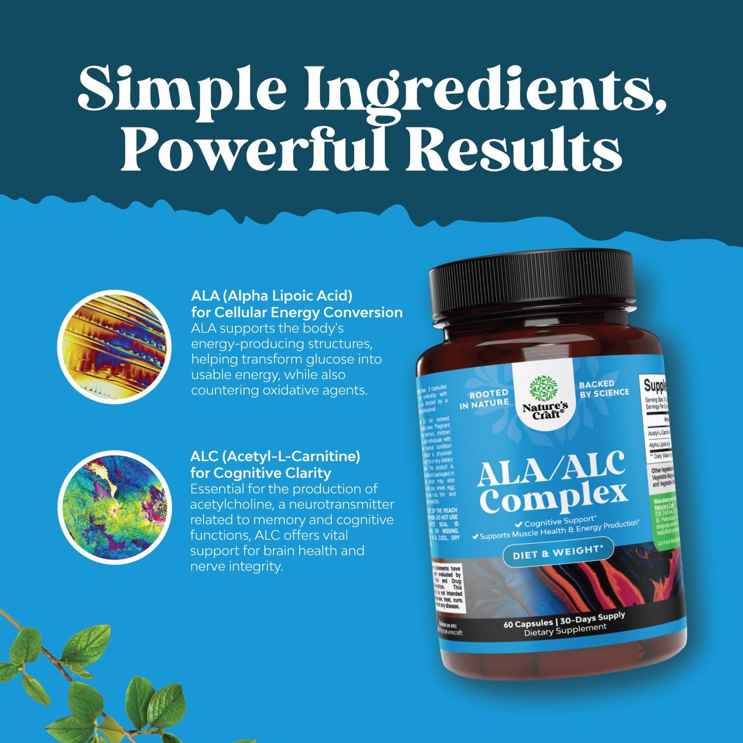 Natures Craft Pure Alpha Lipoic Acid Supplement with Acetyl L-Carnitine Capsules, 60 Count