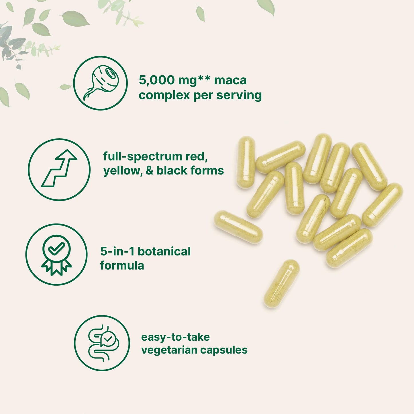 Micro Ingredients Maca Root Capsules 240 Count