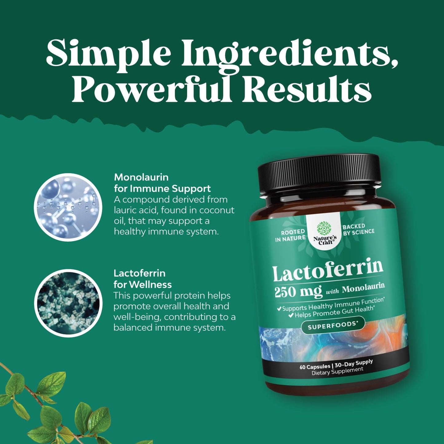 Natures Craft Lactoferrin & Monolaurin Capsule Supplement, 60 Count