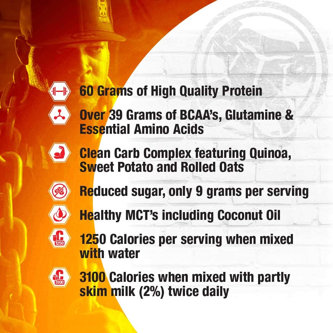 Mammoth Mass Weight Gainer Powder 240 Servings