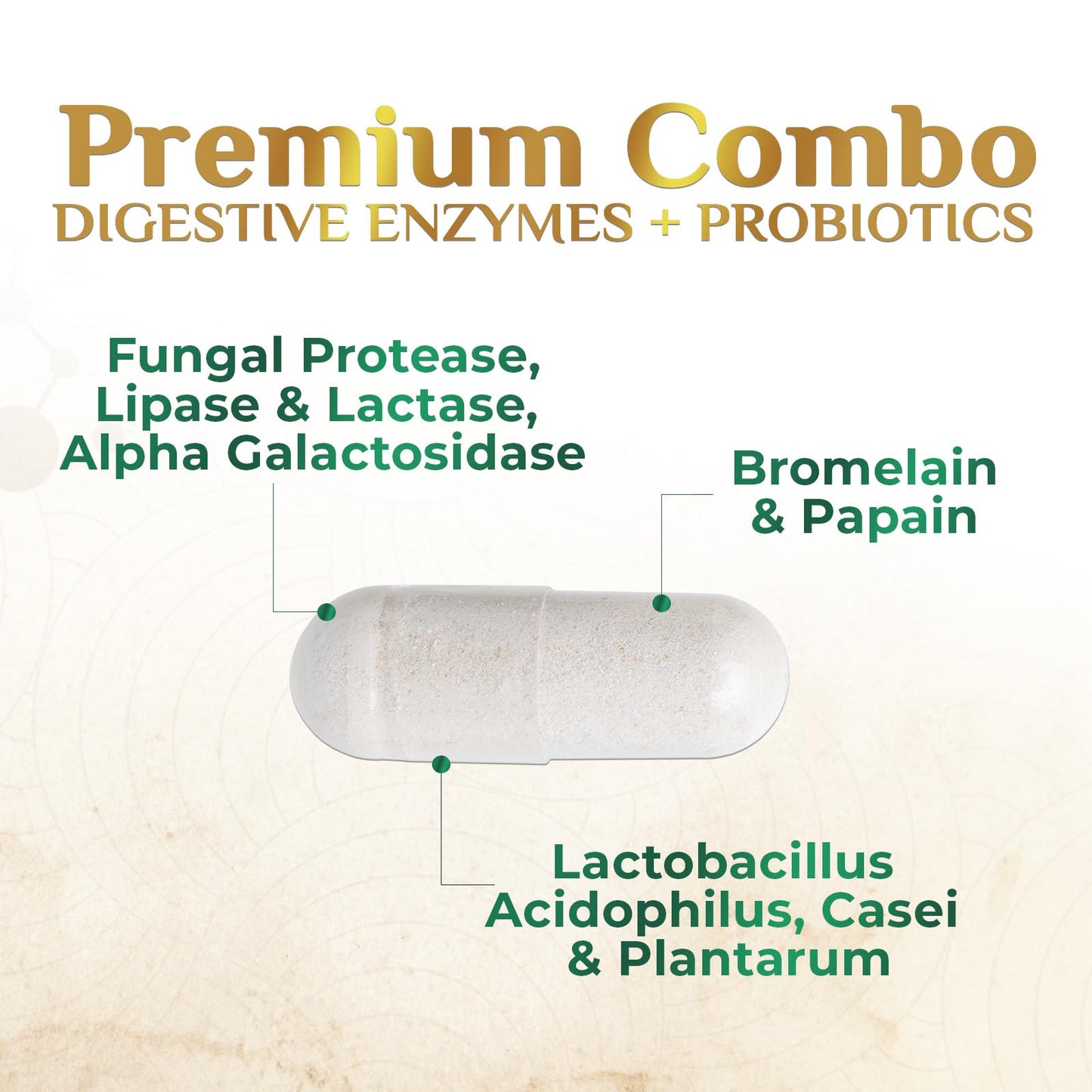 Nature's Nutrition Digestive Enzymes - Super Digestive Multi Enzyme Complex for Bloating & Gut Health Support with Bromelain, Papain, Probiotics & Prebiotics - Digestion Health Support for Women & Men Capsules, 120 Count