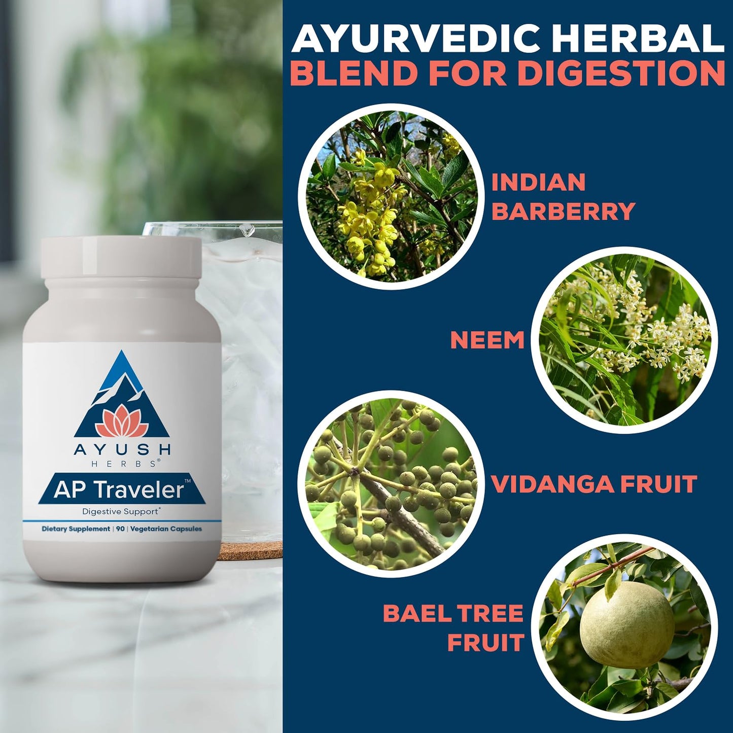 Ayush Herbs AP Traveler Digestive Support Capsule, 90 Count