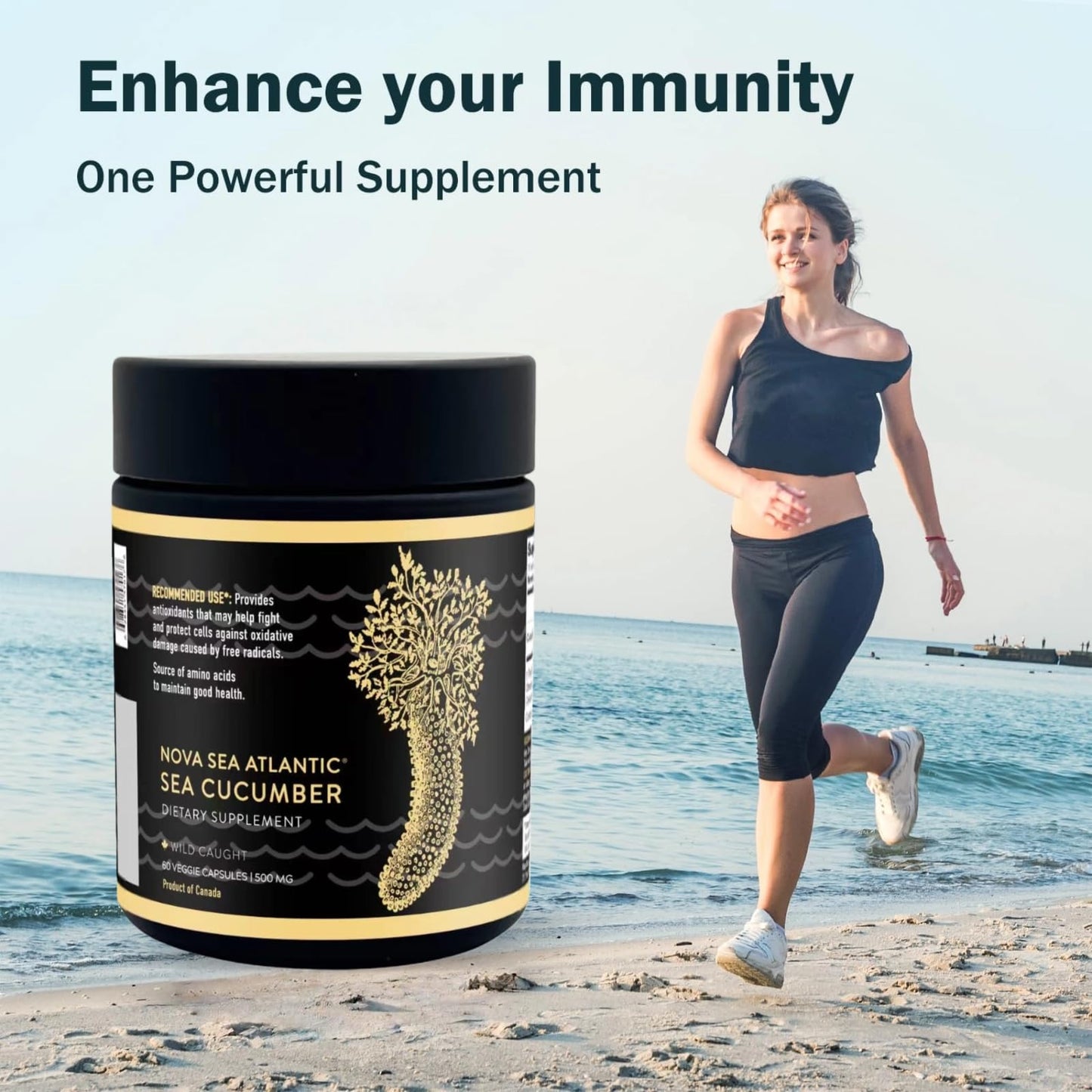 Nova Sea Atlantic Sea Cucumber Supplement Capsules, 120 Capsules