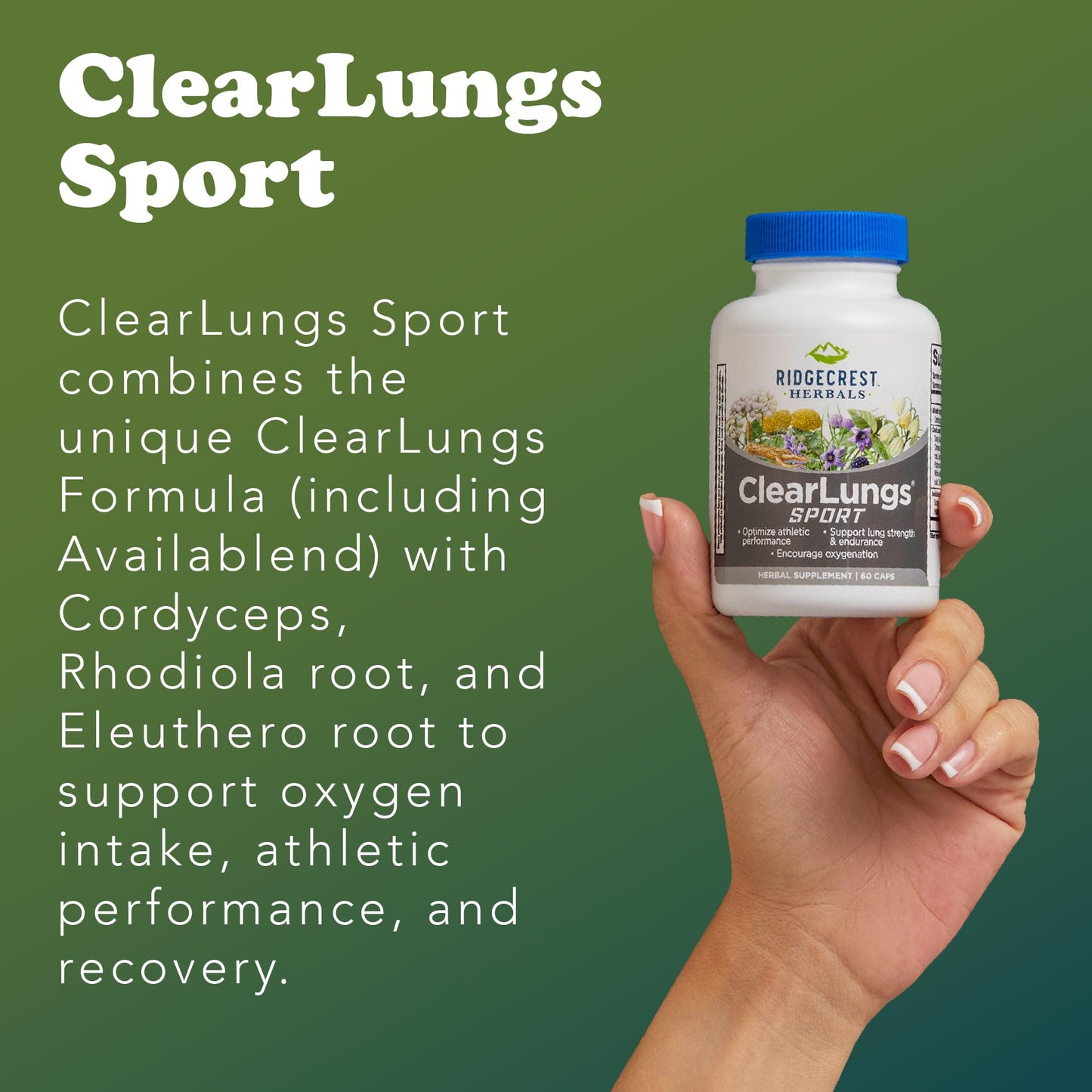 RidgeCrest Herbals ClearLungs Sport Oxygen Intake and Lung Support Formula with Cordyceps, Rhodiola, Eleuthero, 60 Capsules