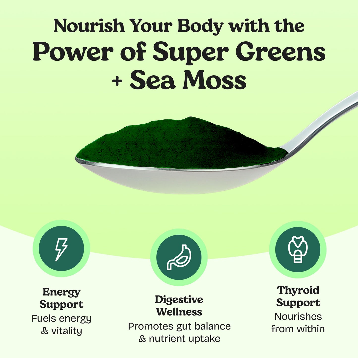 Atlantic Naturals Organic Sea Moss Super Greens Powder Superfood 5000mg 5.5 Ounce