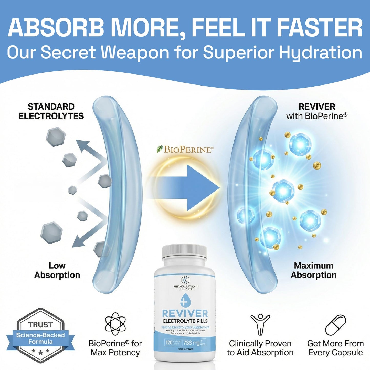 REVIVER Superior Absorption Electrolyte Buffered Electrolyte Capsules 120