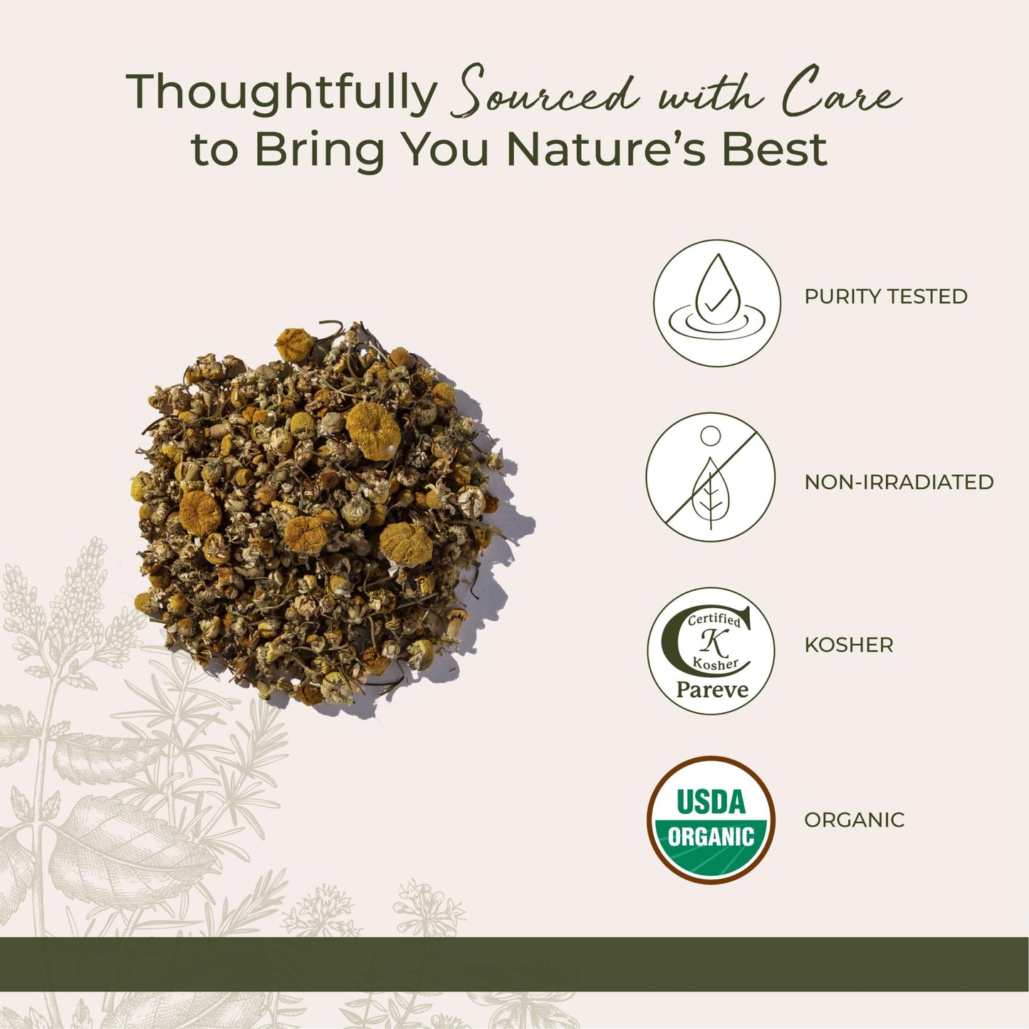 Starwest Botanicals Chamomile Flowers Powder 1 lb