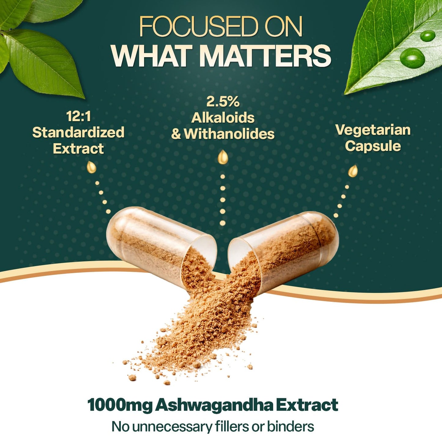 Natures Elements Ashwagandha Root 12:1 Extract 1000mg Vegetarian Capsules, 60 Count