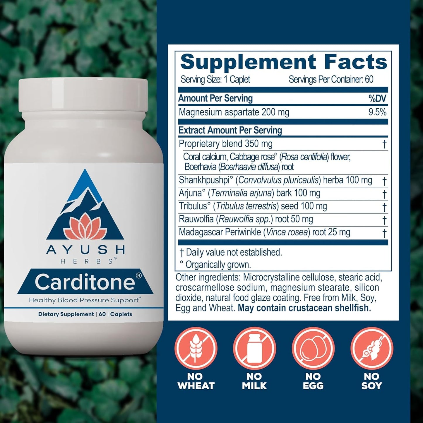Ayush Herbs Carditone Caplets 60 Count