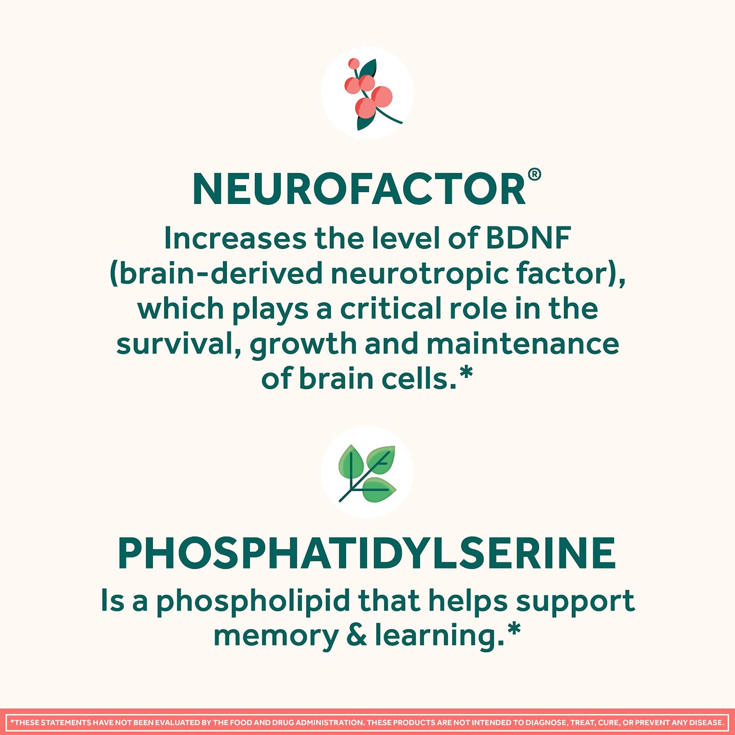 NEURIVA Original Decaffeinated Clinically Tested Nootropic Brain Supplement for Memory, Focus & Concentration, NeuroFactor & Phosphatidylserine, 56 Capsules