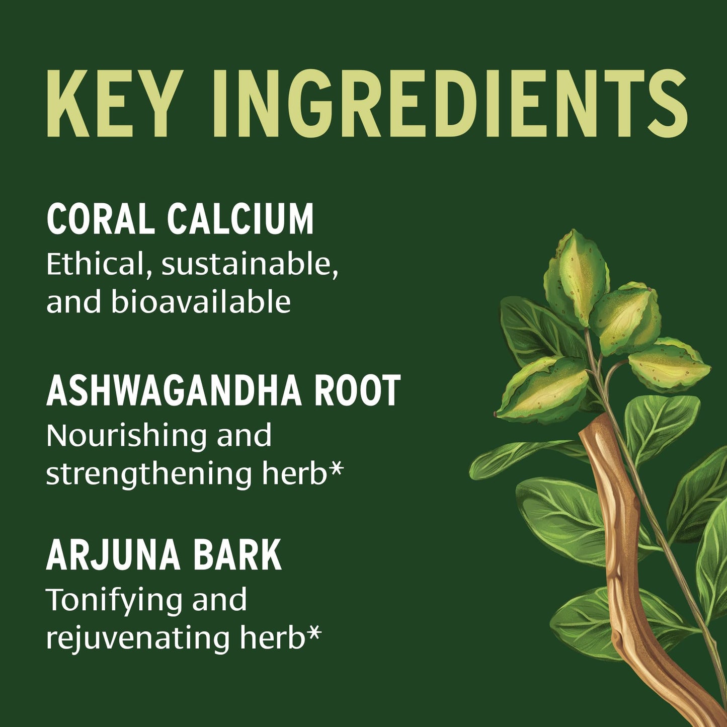 Banyan Botanicals Organic Healthy Bones – Ethical Coral Calcium & Bone Density Supplement – with Ashwagandha & Arjuna for Skeletal Strength & Joint Support, Non-GMO, 90 Tablets