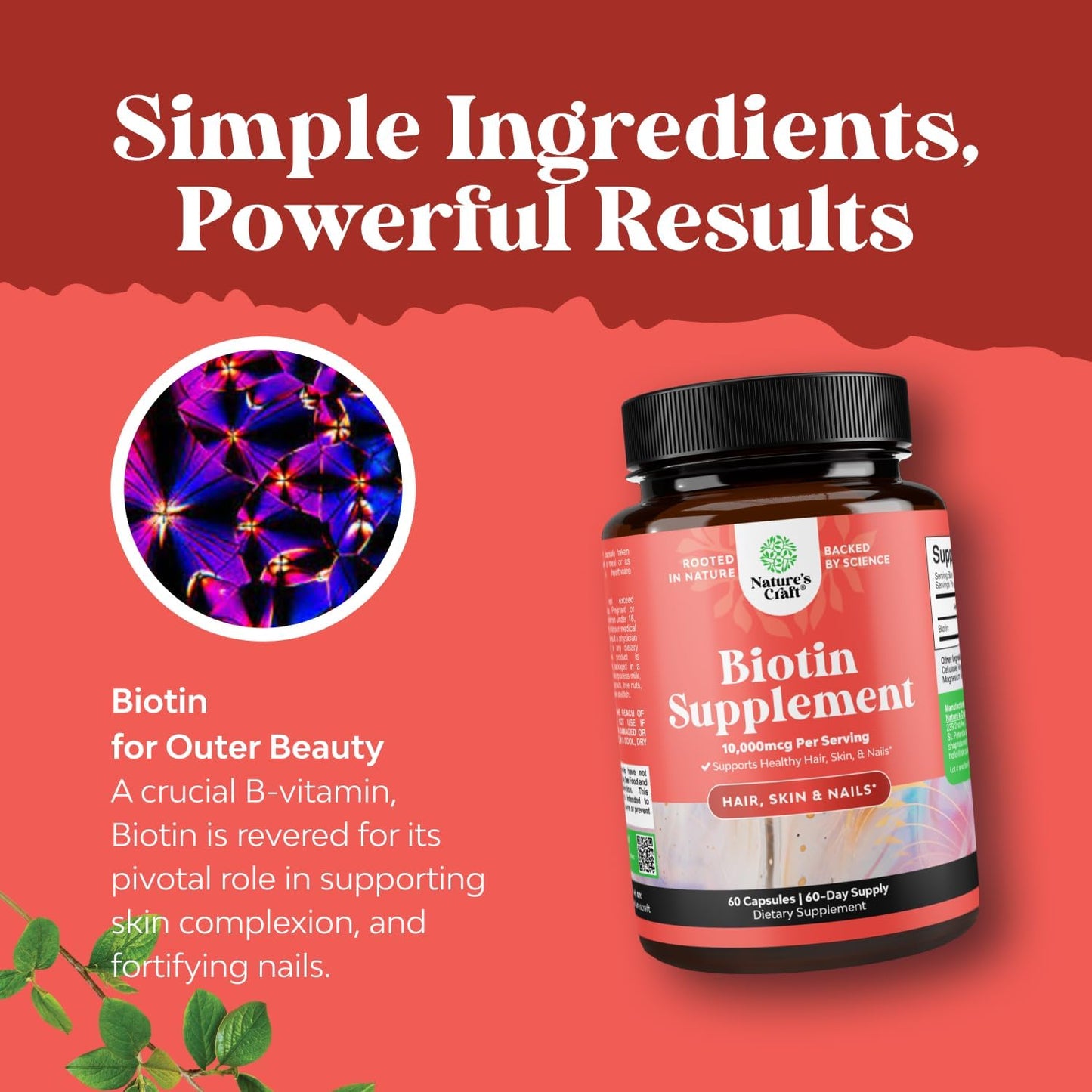 Natures Craft Biotin Capsule, 10000 mcg, 60 Count