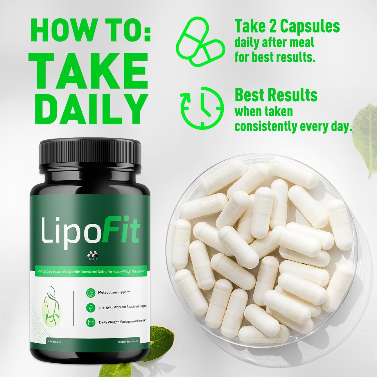 MJO Lipo Fit, 60 Capsules