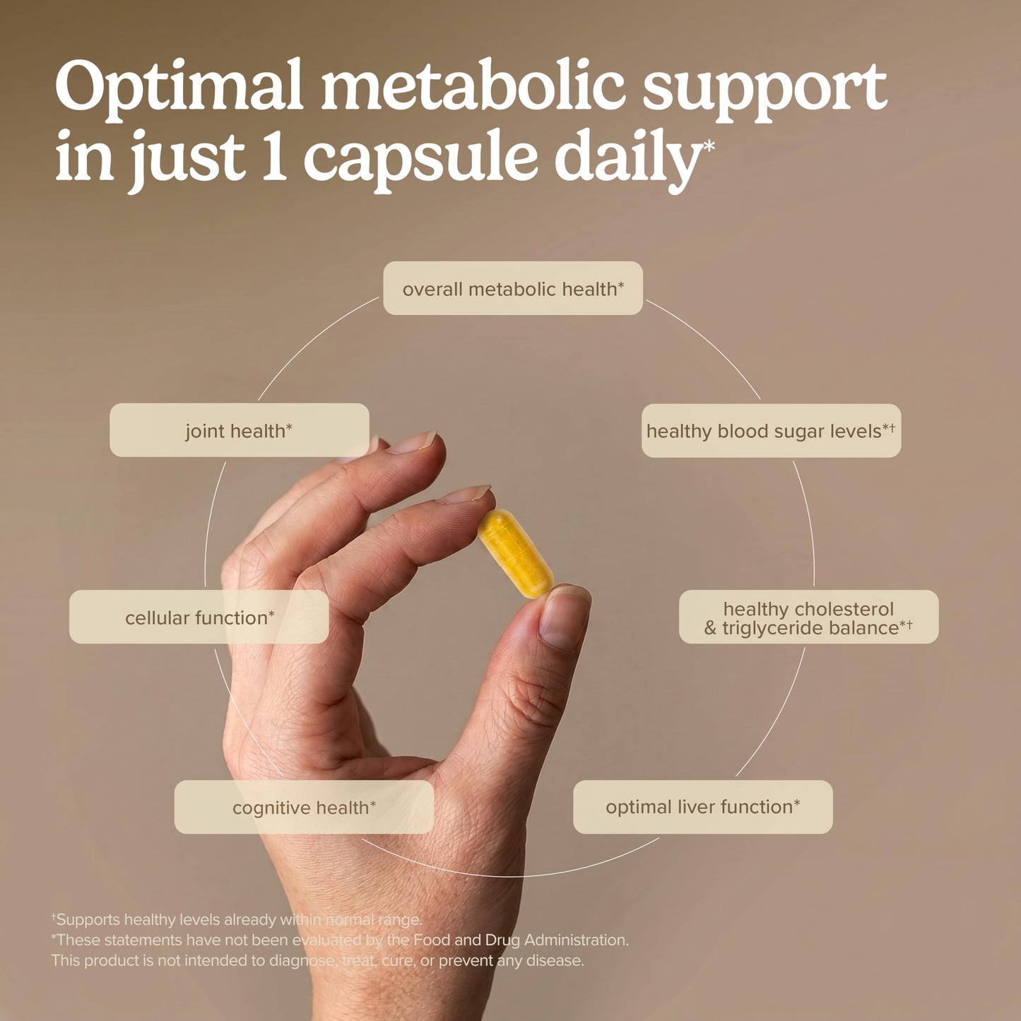 Terry Naturally Berberine Capsule, 60 Count