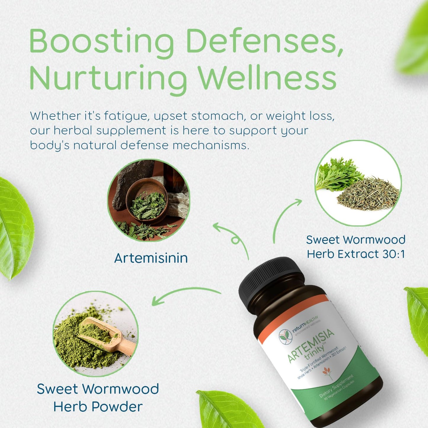 Return Healthy Artemisia Trinity Capsule 90 Count