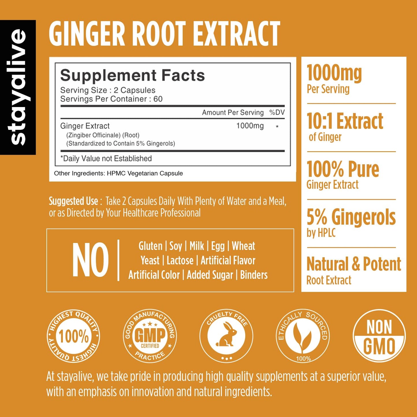 STAY ALIVE Ginger Root Capsules 1000mg 10:1 Extract Powder with 5% Gingerols, 120 Capsules