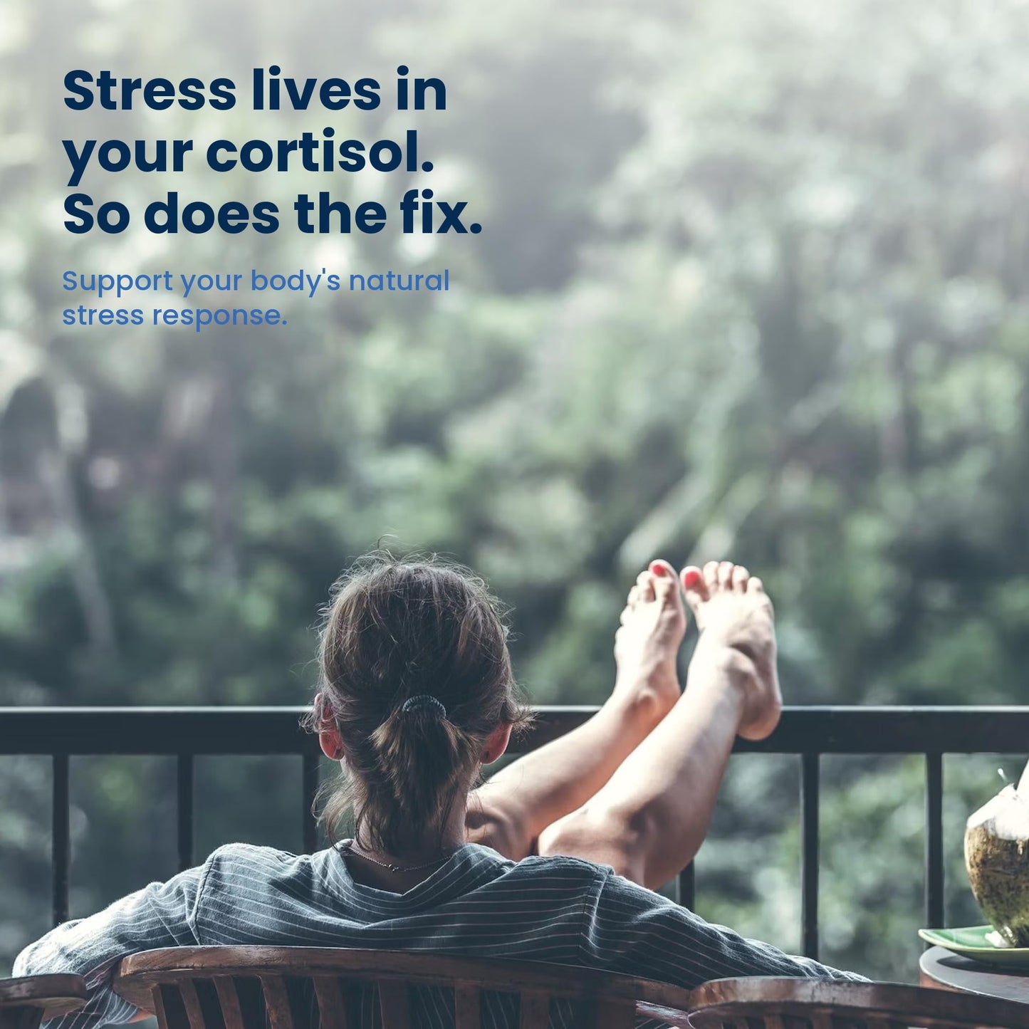 Habit46 Steady State - Rhodiola Rosea, L-Theanine & Saffron - Stress Relief, Adrenal Support & Calm Focus 60 Capsules